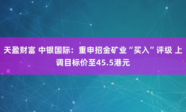 天盈财富 中银国际:重申招金矿业“买入”评级 上调目标价至45.5港元